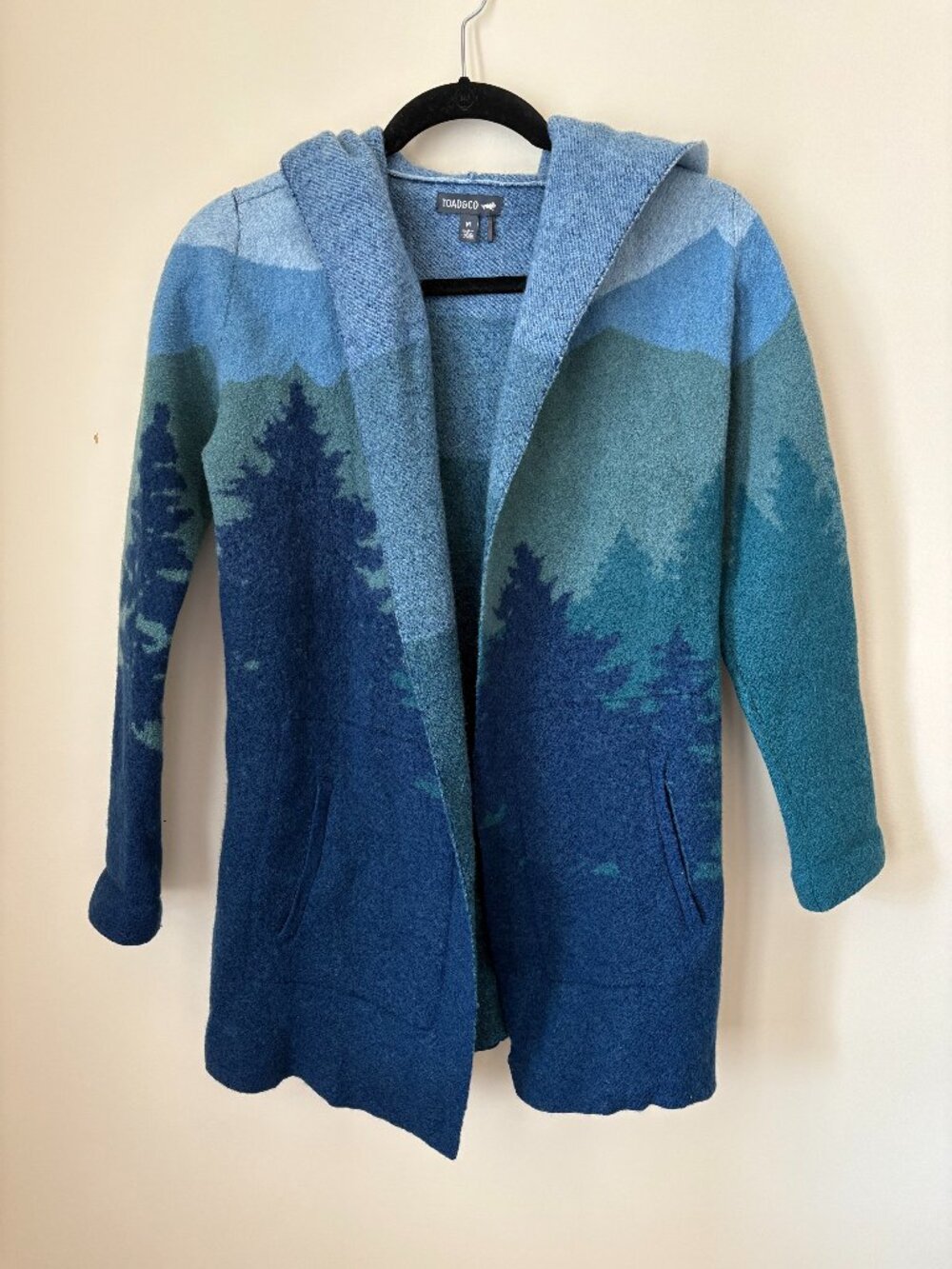 Toad&Co Heartfelt Hoodie